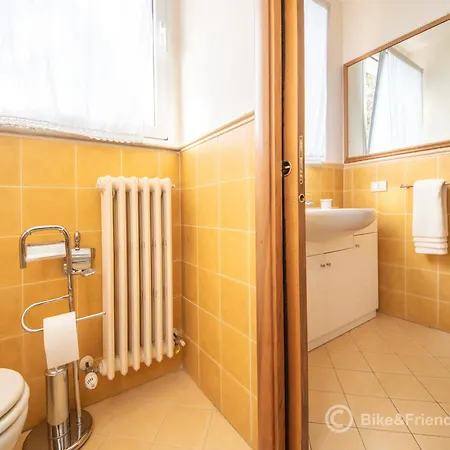 Daire Gatto Errante *