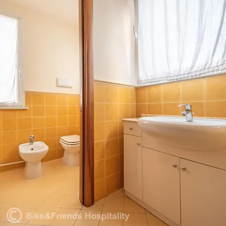 Gatto Errante Pésaro