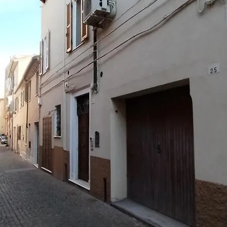 Gatto Errante Pésaro