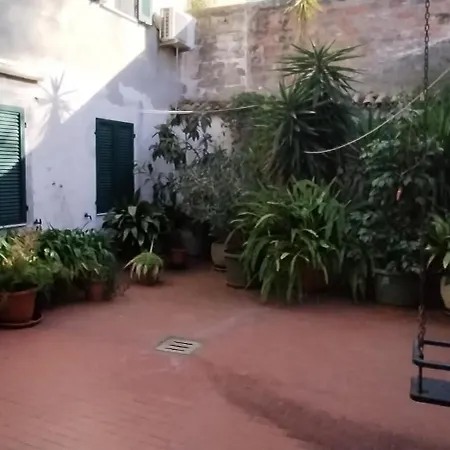 Gatto Errante