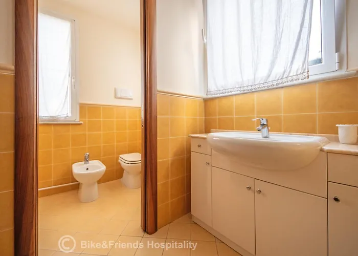 Gatto Errante Pesaro