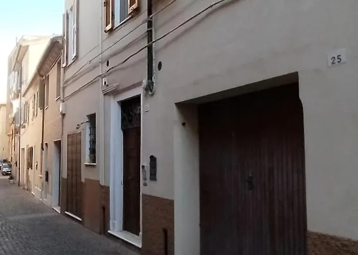 Gatto Errante بيزارو